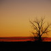 Young Moon Photo 45