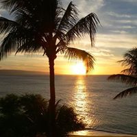 Debbie Rogers Photo 38