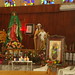 Guadalupe Paz Photo 8