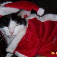 Sandra Schroeder Photo 20