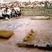 Muhammad Hassan Photo 43