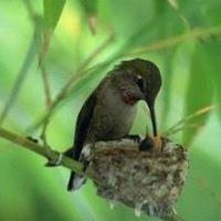Gayle Jones Photo 18