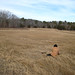 Jessica Wareham Photo 14