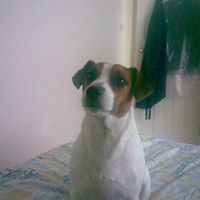 Janet Rowlands Photo 7