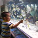 David Fish Photo 29