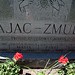 John Zajac Photo 22