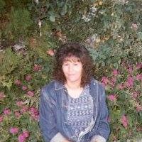 Robin Sherman Photo 23
