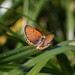 Margaret Land Photo 12