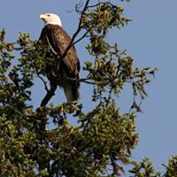 Barry Schaefer Photo 11