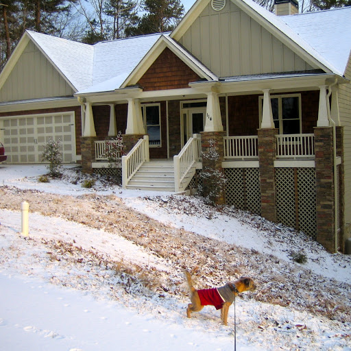 Susan Buschur Photo 9