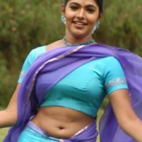 Ramesh Krishnan Photo 22