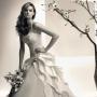 Candace Cottner Photo 8