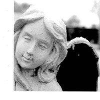 Pamela Bartlett Photo 18
