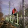 David Danforth Photo 15