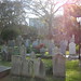 Charles Rutledge Photo 18