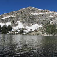 Martha Downs Photo 19