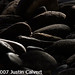 Justin Calvert Photo 16