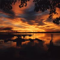 Terry Calvert Photo 8