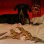 Michael Knowles Photo 20
