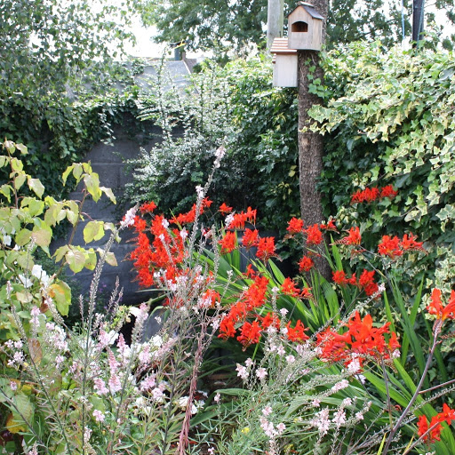 Mary Bolger Photo 26