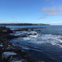 Anne Donnelly Photo 32