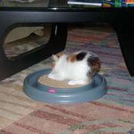Ann Dailey Photo 25