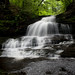 Sean Ricketts Photo 36