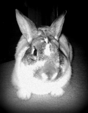 Ruby Wilson Photo 10