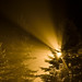 Misty Wilson Photo 10