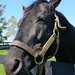 Ruthann Bond Photo 3