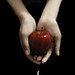 Stephanie Meyer Photo 20