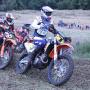 Ben Ellis Photo 8