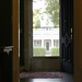 Diane Fitzsimmons Photo 6