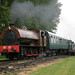 David Barclay Photo 54