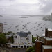 Elizabeth Potts Photo 28
