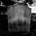 Elizabeth Hendricks Photo 40
