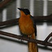 Robin Fiedler Photo 18