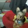 Debra Thornton Photo 28