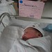 Renee Taggart Photo 17