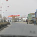 Qing Wang Photo 26