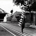 Nancy Hecht Photo 6