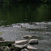 Janet Nichols Photo 14