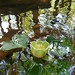 Kathy Hall Photo 22