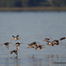 Richard Colvert Photo 9