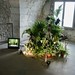 Pauline Marchand Photo 11