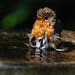 Robin Downs Photo 41