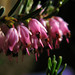 Heather King Photo 38