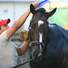 Rachel Combs Photo 28