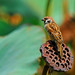 Jerry Sparrow Photo 16