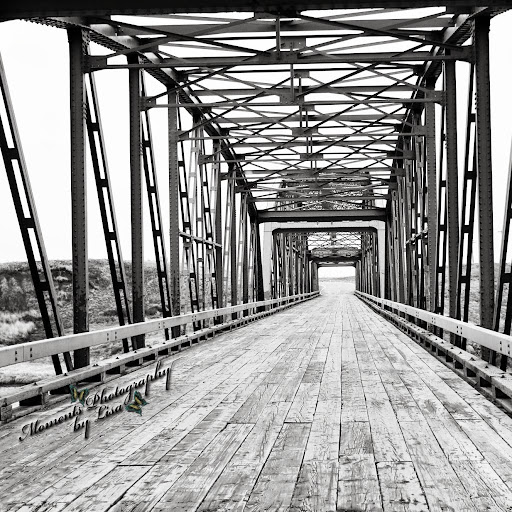 Lisa Peters Photo 33